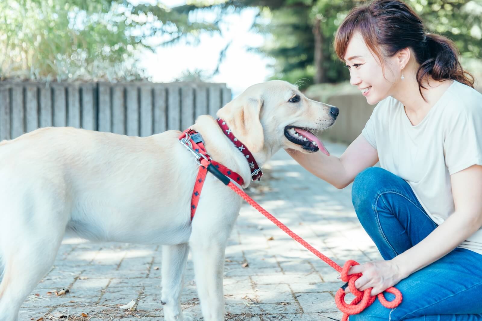 独立を考える場合は「動物取扱責任者」を目指す必要がある