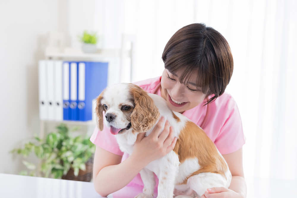 犬猫介護士（動物介護士）とは？